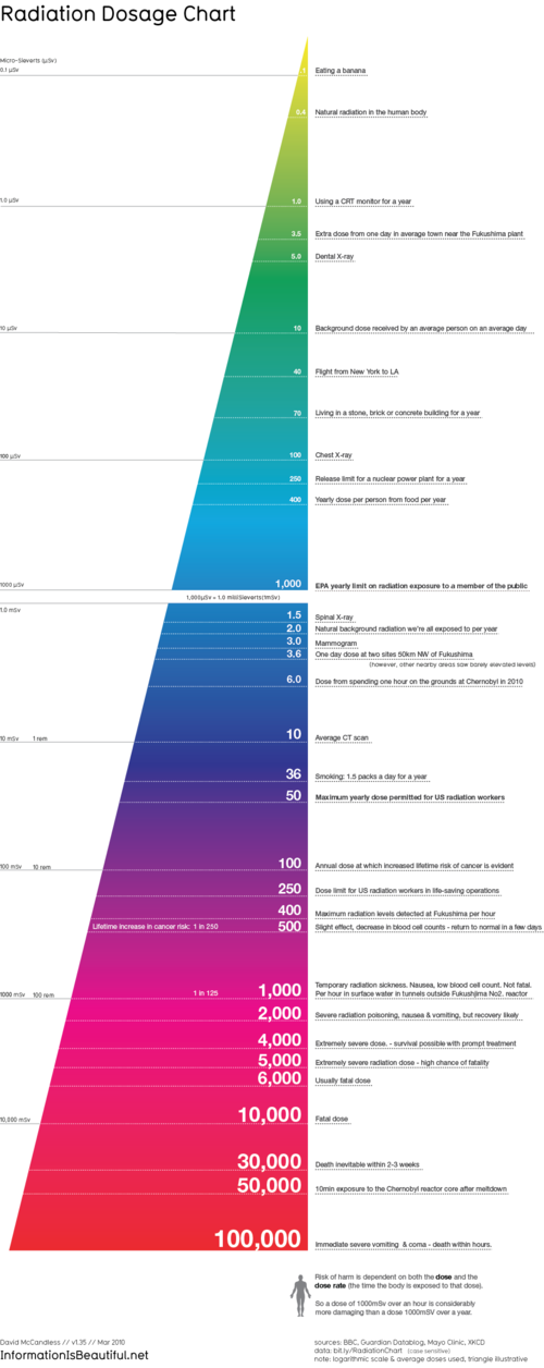 media_httpinfobeautif_DGnlw.png.scaled500.png